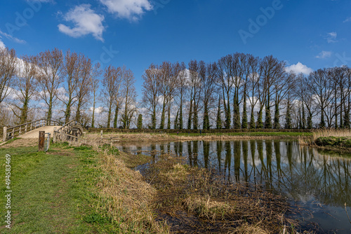 A line of trees and the reflection on the river Thames, wooden bridge over the river