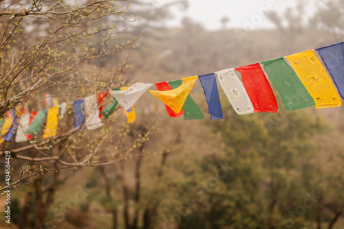 flags in the wind photo