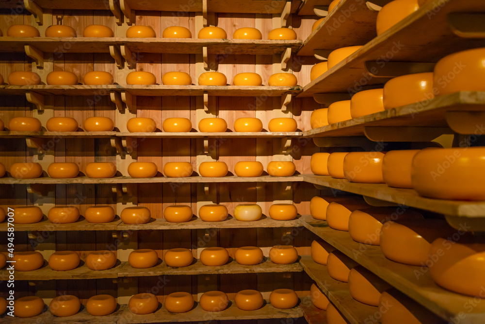 rows of cheese