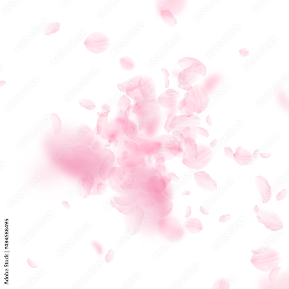 Sakura petals falling down. Romantic pink flowers explosion. Flying petals on white square background. Love, romance concept. Exquisite wedding invitation.