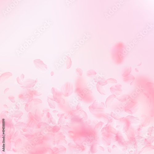 Sakura petals falling down. Romantic pink flowers gradient. Flying petals on pink square background. Love, romance concept. Stunning wedding invitation.