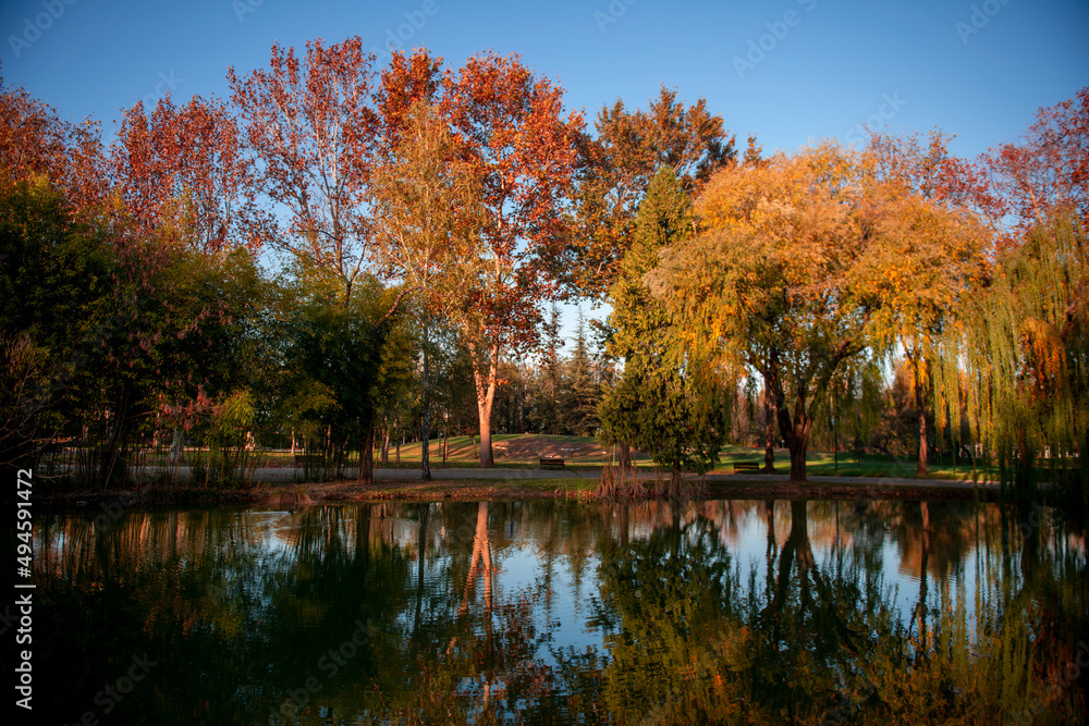 Autumn in Bursa Botanical Park 