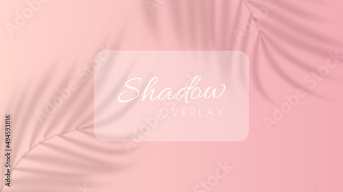Abstract pink background with shadow overlay of palm leaf silhouette. Blurry shadow of tropical tree branch for summer or spring poster