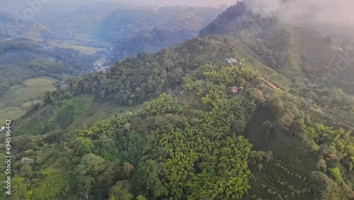 Acercamiento a montaña con guaduales y café.