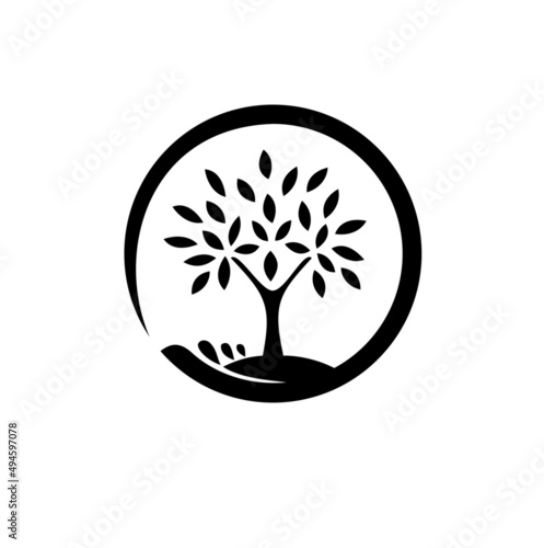 Abstract living tree logo design on water. The tree of life logo isolated on a white background 