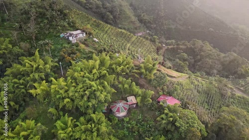 Vistas aéreas de fincas con cultivos de café.