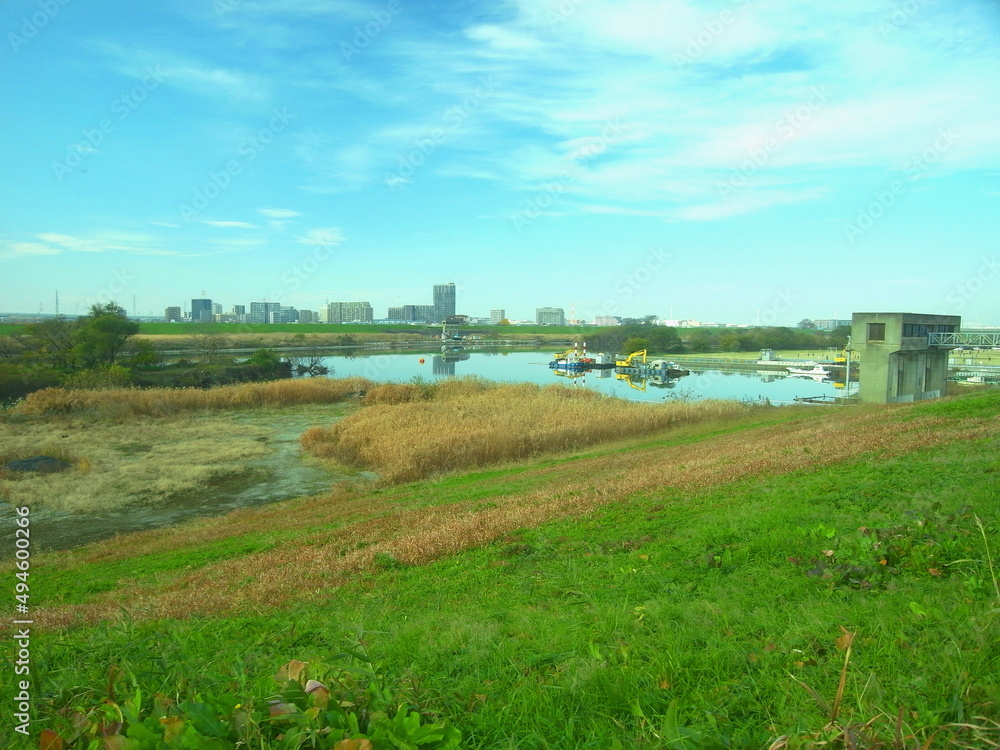 若草生える江戸川土手から見る枯れた荻原のある河川敷風景