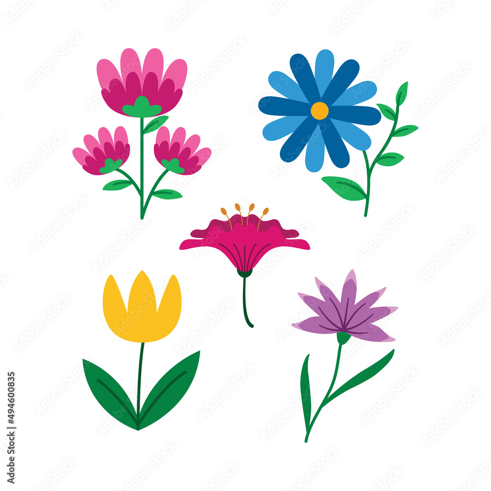 Colorful Flat Flowers Illustration Natural Object