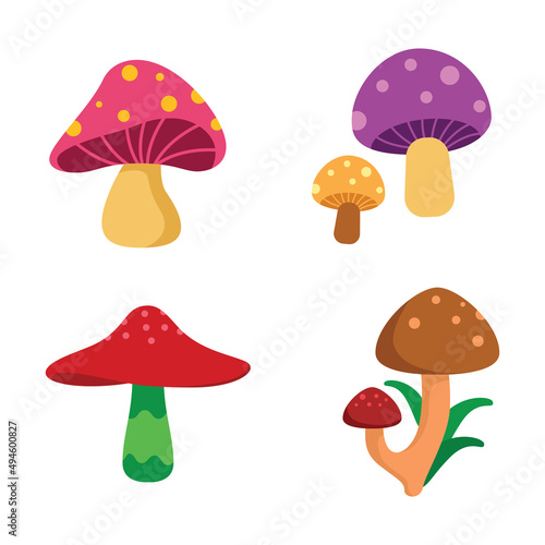 Colorful Flat Flowers Illustration Natural Object