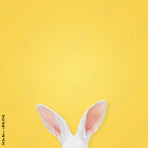 White rabbit ears on a light yellow background with copy space. Easter minimalism. photo