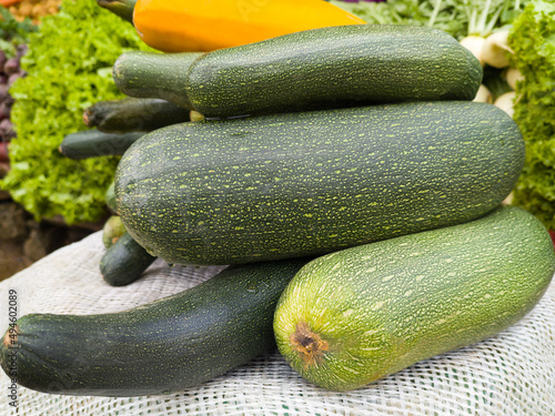 pile of cucumber, widely cultivated cylindrical vegetable, closeup view taken in shallow depth of field photo