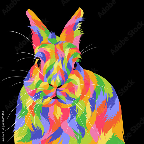 Rabbit vector colorful illustration