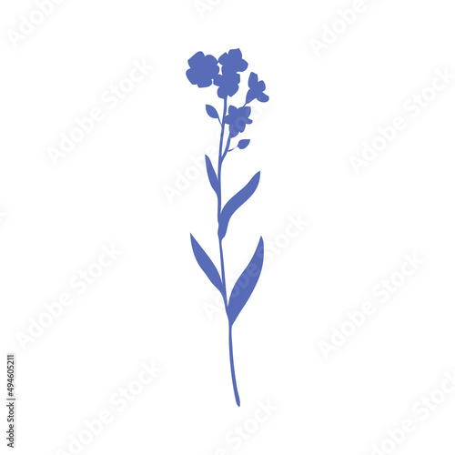 Forget-me-not flower vector illustration isolated on white background, colorful delicate silhouette, decorative herbal doodle, for design medicine, wedding invitation, greeting card, floral cosmetic