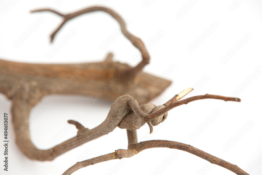 Obraz premium dry twigs laid on a white background