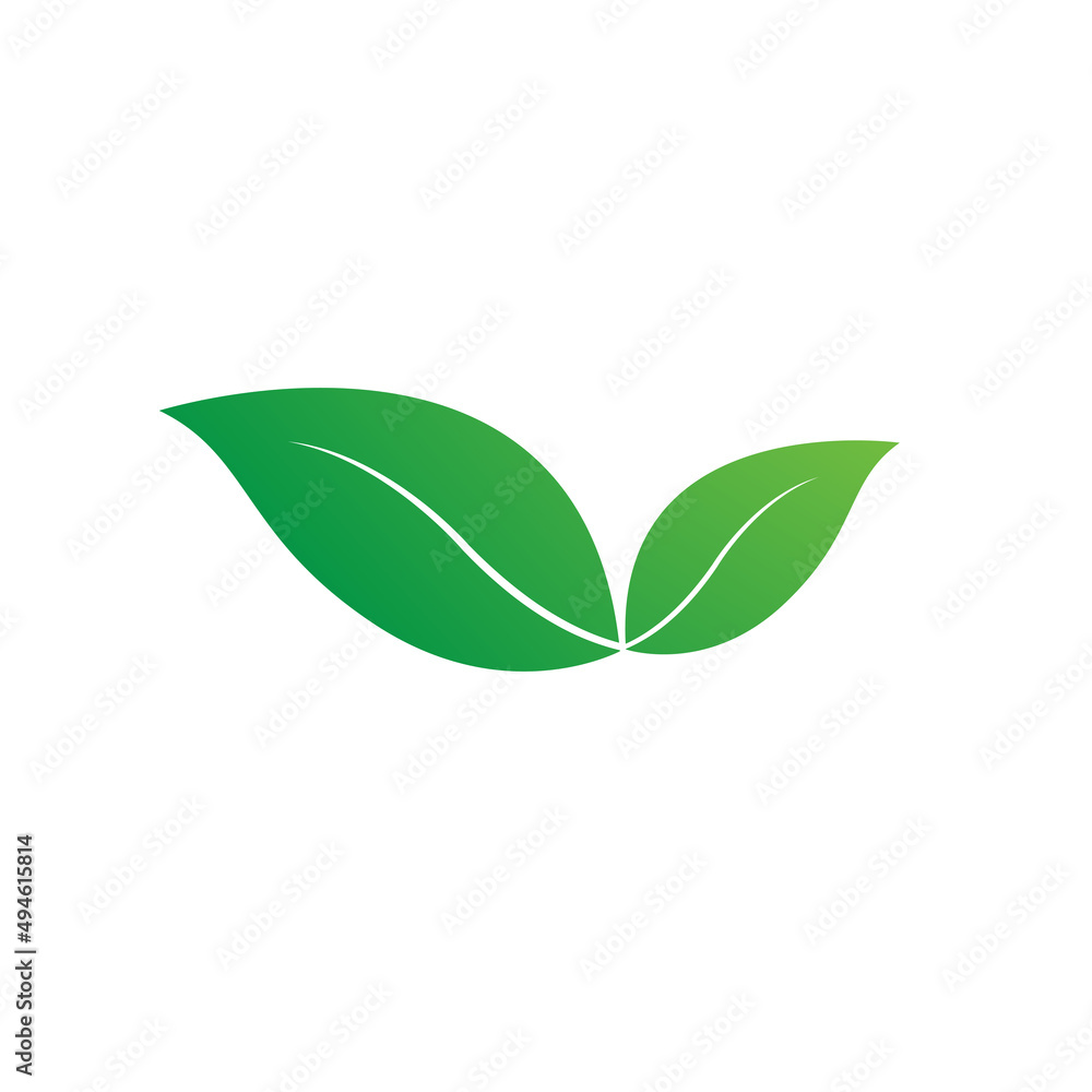 a fresh green leaf on white background, natural leaf icon, logo, symbol template, beautiful green leaf vector, used for element design and bio eco Green icon a fresh green leaf on white background, natural leaf icon, logo, symbol template, beautiful green leaf vector, used for element design and bio eco Green icon