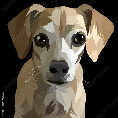 Dog vector colorful illustration