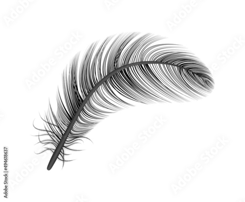 Feather Black Realistic Composition