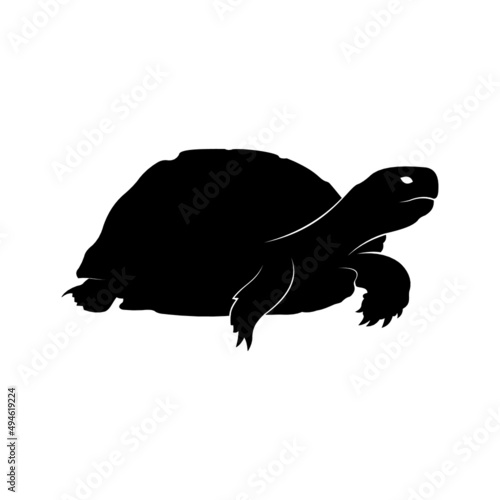 silhouette of a turtle on a white background.