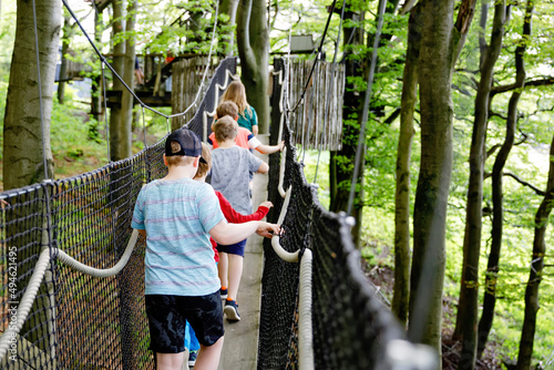 Group of kids boys walking on high tree-canopy trail with wooden walkway and ropeways on Hoherodskopf in Germany. Active children, school class exploring treetop path. Funny activity for kids