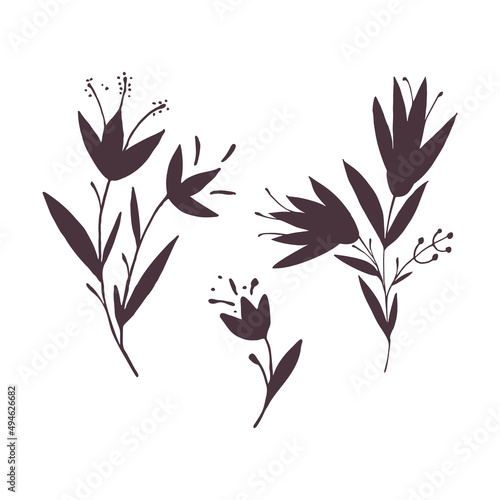 Plants silhouette collection on white background, hand drawn flowers