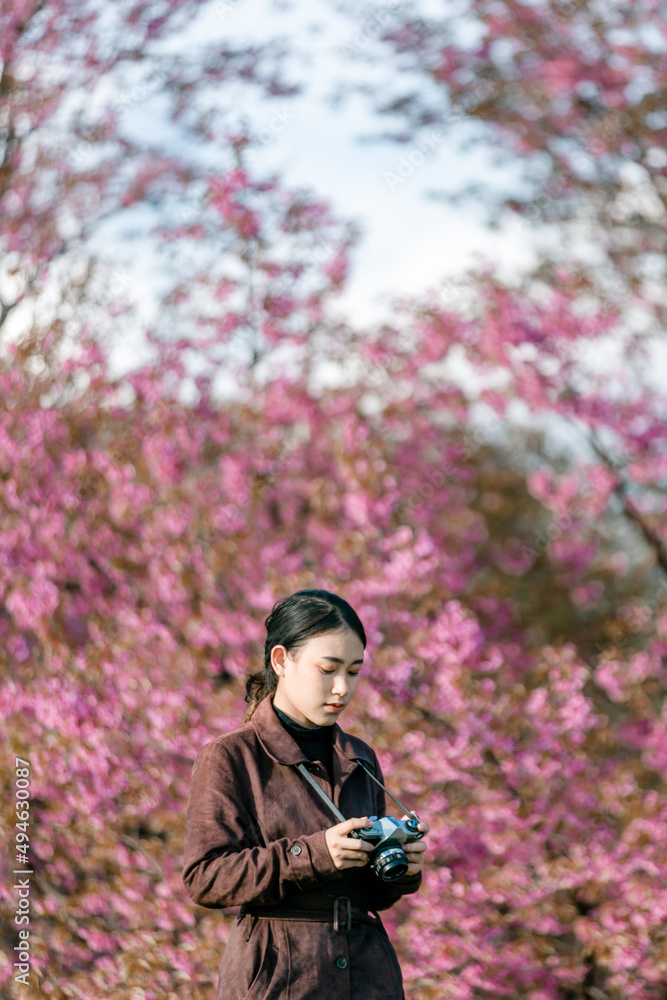 girl with bright pink cherry blossoms in winter girl with bright pink cherry blossoms in winter