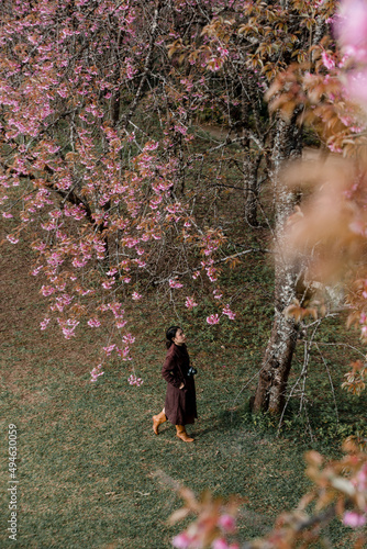 girl with bright pink cherry blossoms in winter