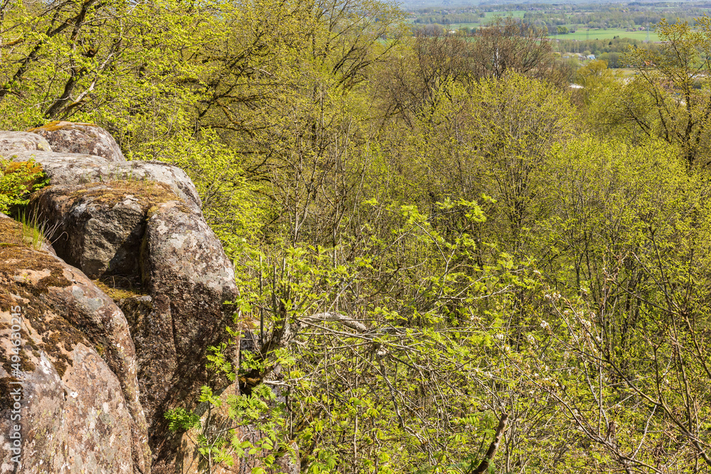 Rock face and budding green trees in the spring Rock face and budding green trees in the spring