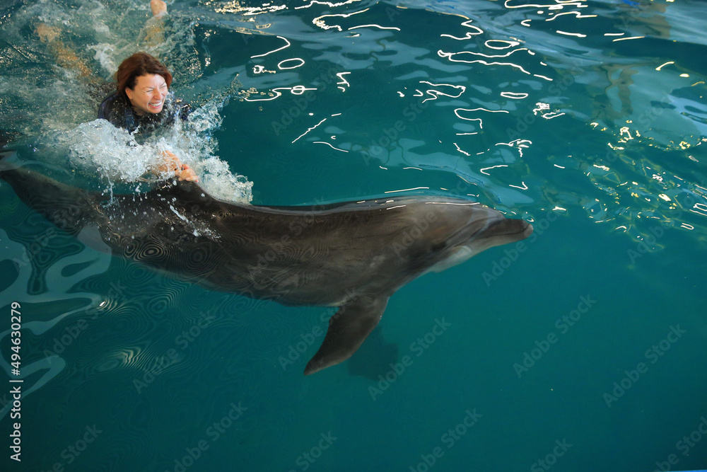 Obraz premium beautiful woman in the pool swims with a gray dolphin 