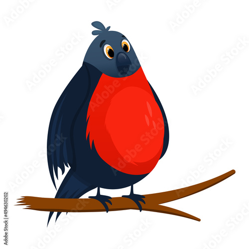 Red bullfinch cartoon bird isolated. Tree branches with birds. Bright winter bullfinches in sitting. Winter bird character. Cartoon vector illustration.