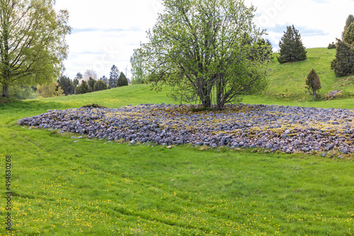 Stone field on a meadow landscape