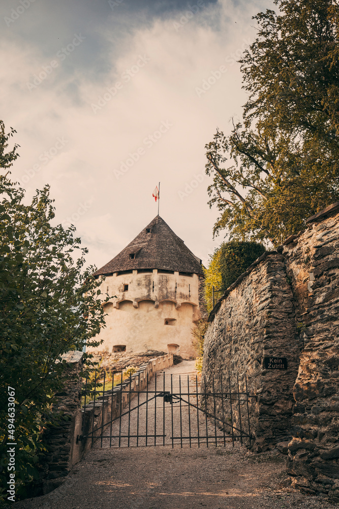 tower of the medieval castle in the forest