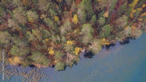 Lake and forest in Karelia among larch trees  Russia. Beautiful autumn season landscape with river and forest stock photography