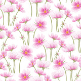 Seamless pattern with delicate summer cosmos flowers