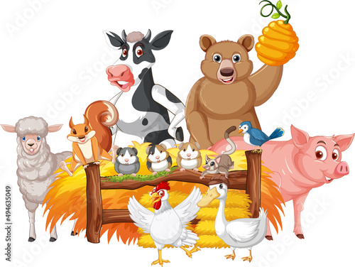 Farm animals standing by the fence