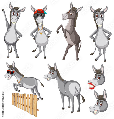 Donkey in different actions
