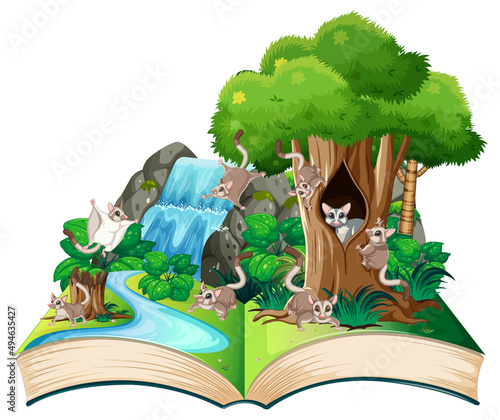 Nature scene with many trees