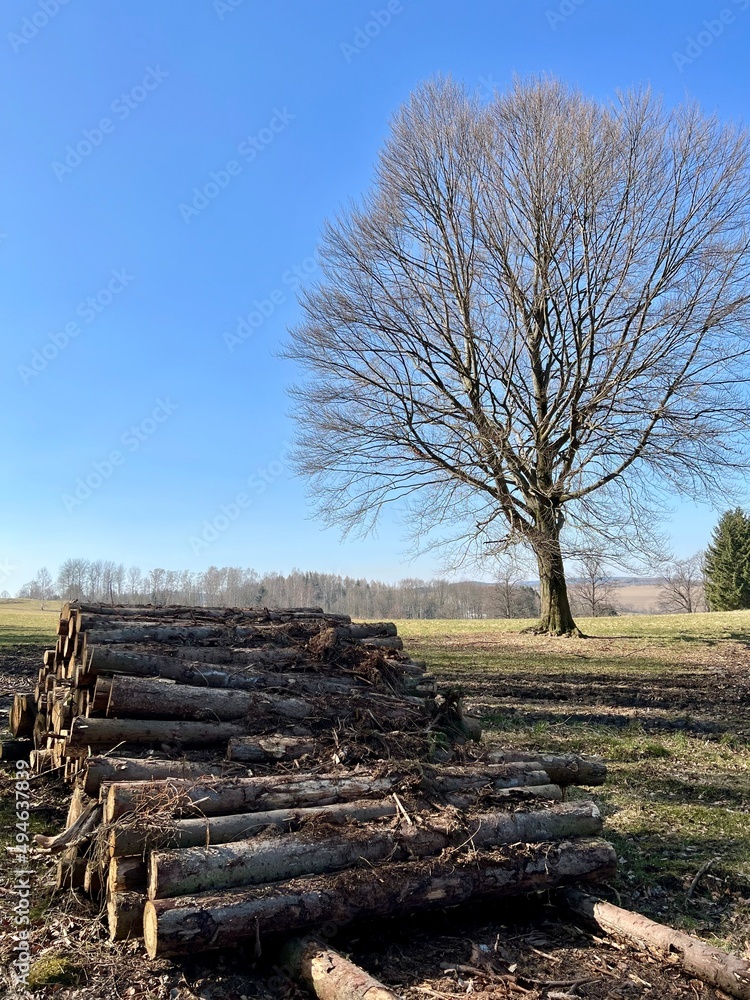 Frühling im Erzgebirge zwischen Scharfenstein und Drebach