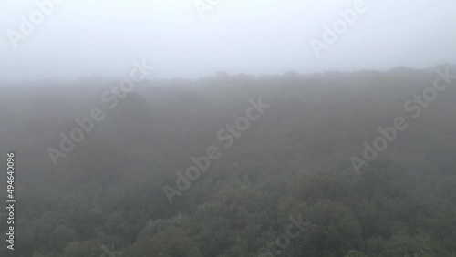 Foogy morning in the forest of Israel, Katzir. Thick fog covering the forest and the lake in early morning landscape. photo