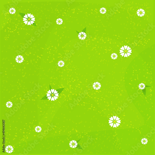 Green grass with white flowers. Field, meadow.