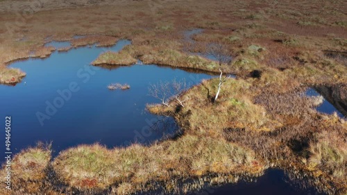 Aerial view of the swampy wetlands in northern Norway. Blue sky reflected in the mirrorlike lakes. Slow-motion.