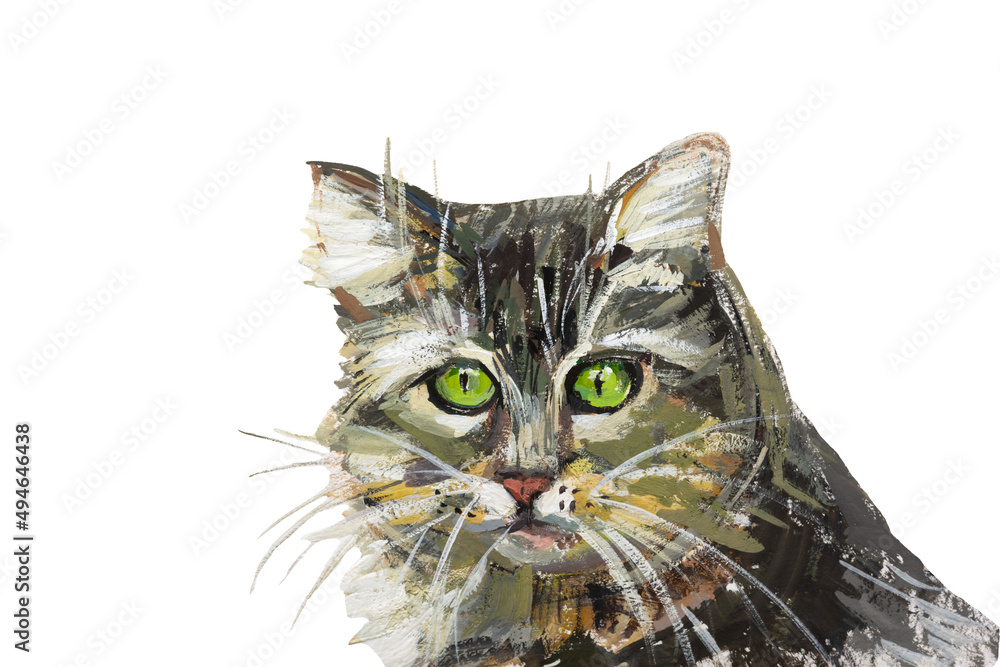 Obraz na plátně Cat painting isolate