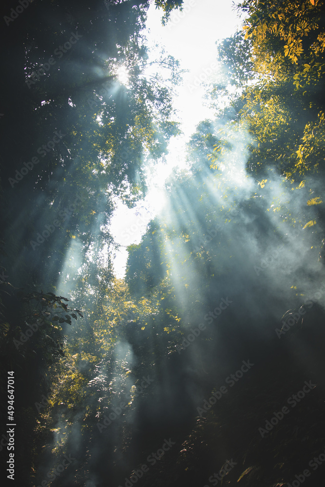 Obraz premium light and shade