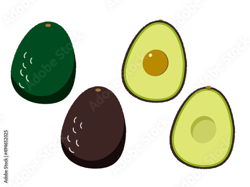 アボカド　イラスト