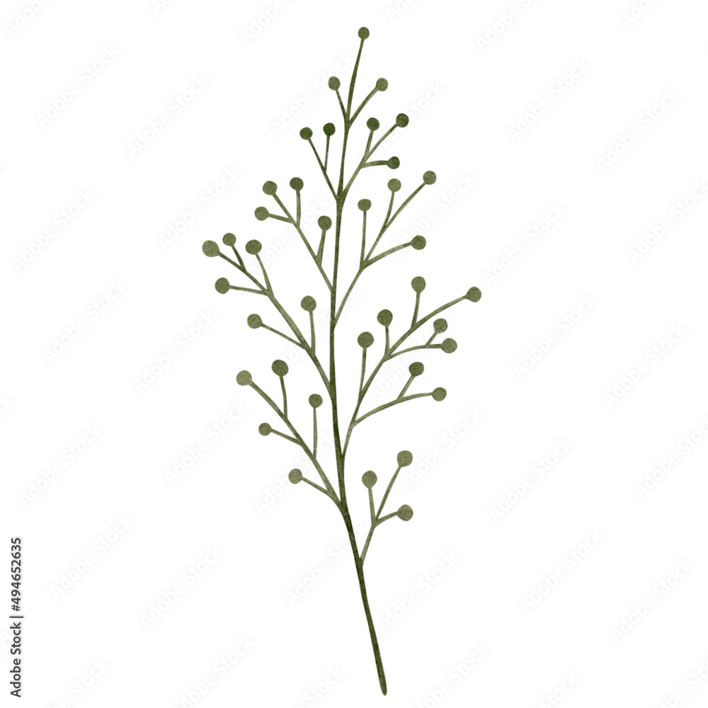 Watercolor illustration of a green leaf on a white background Watercolor illustration of a green leaf on a white background