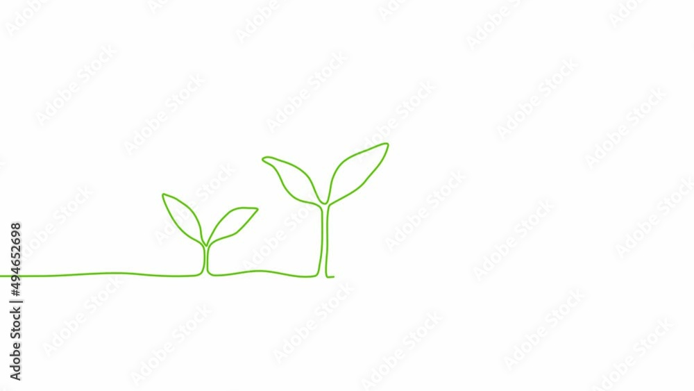 Continuous one line drawing plant germination sequence on white background. Self drawing animation. Hand drawn steps of Growing from seeds Trees, simple design, art. Growth concept. Stepped sprout. 4K