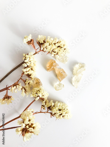 Set of natural resins and twigs of dried lemon statice , frankincense close-up on white background