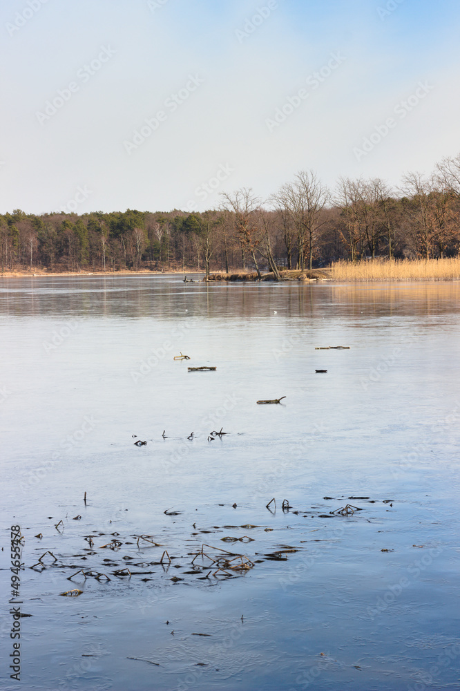 Landscape with a lake and trees on a sunny day. Landscape with a lake and trees on a sunny day.