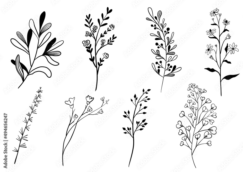 Naklejka premium Hand drawn floral elements. Botanical set
