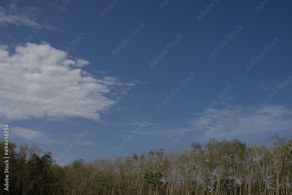 blue sky with clouds and trees