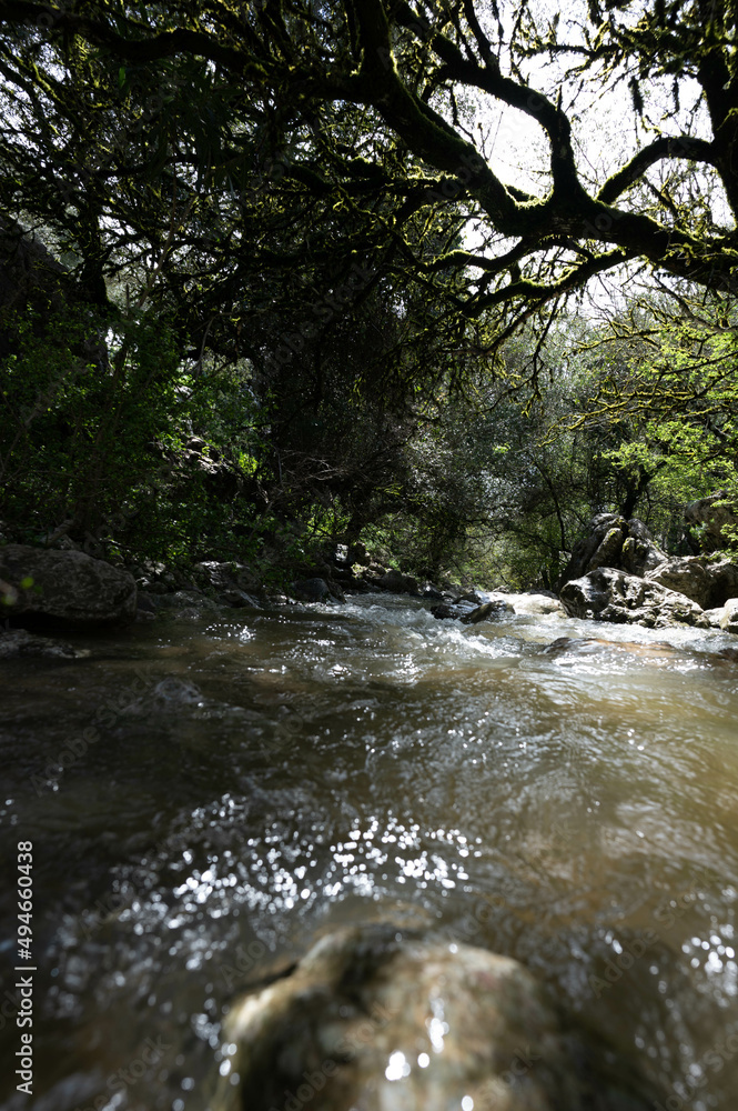 Fototapeta premium Rio con puene romano